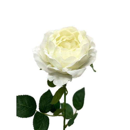 Real Touch David Austin Rose JI2651-WH