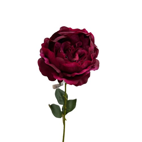 Real Touch David Austin Rose JI2651BG