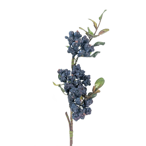 Berry Spray JI2658-BL