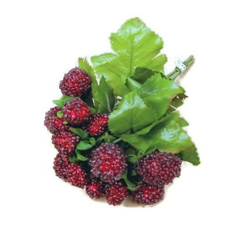 Raspberry Pick JI2664-RD