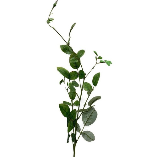 Rose leaves spray JI2673
