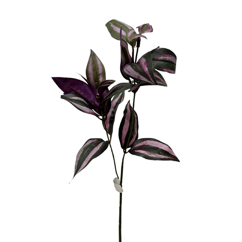 Wandering Jew JI2675-PR