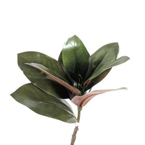 Magnolia Foliage Tall Spray JI2687L