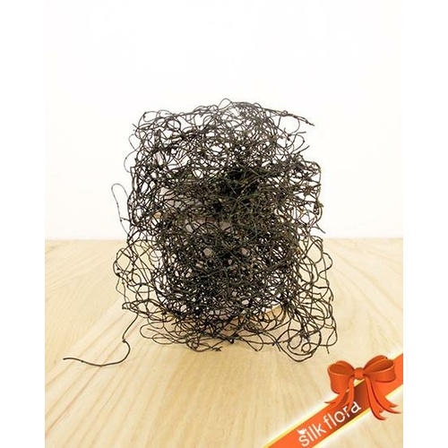 Dodder Vine JI2901