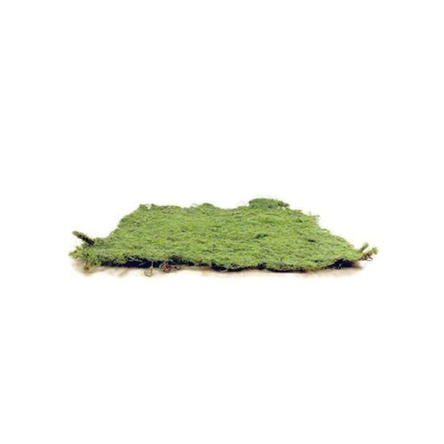 Moss Mat JI2903