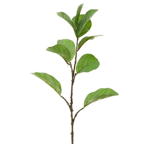 Leaf Magnolia Branch L148GR
