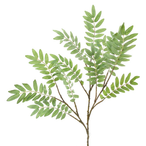 Extra tall 1.5m Ficus Leaf L154GR