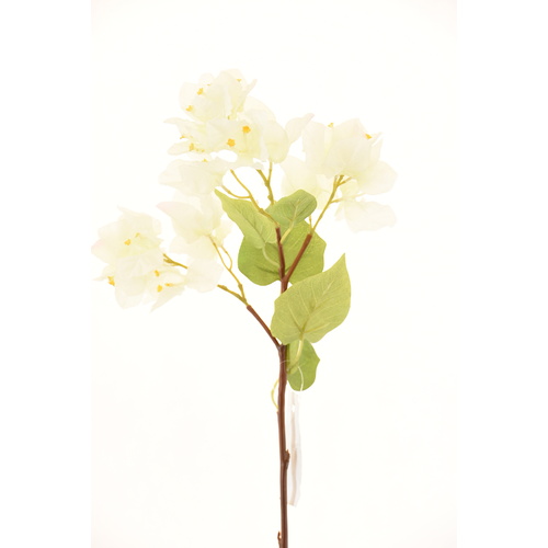 Bougainvillea White L16560WH