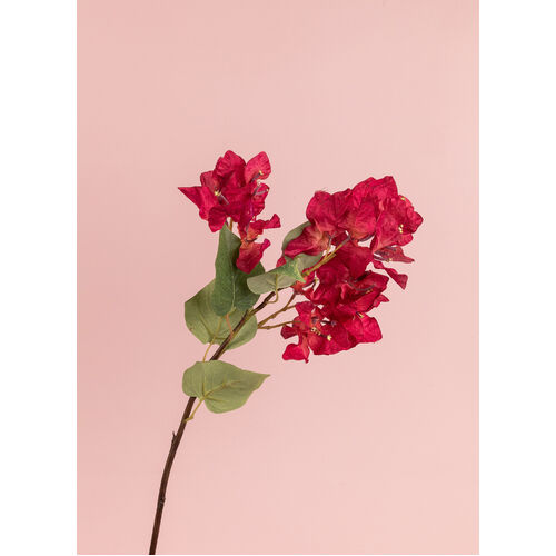 Dark pink bougainvillea  L16561DPK