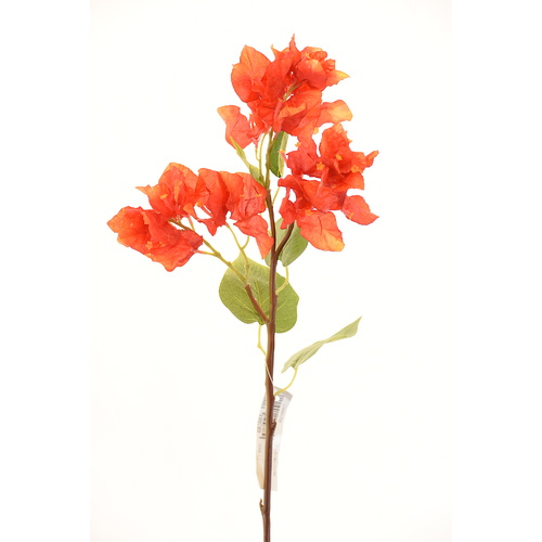 Orange bougainvillea   L16561OR