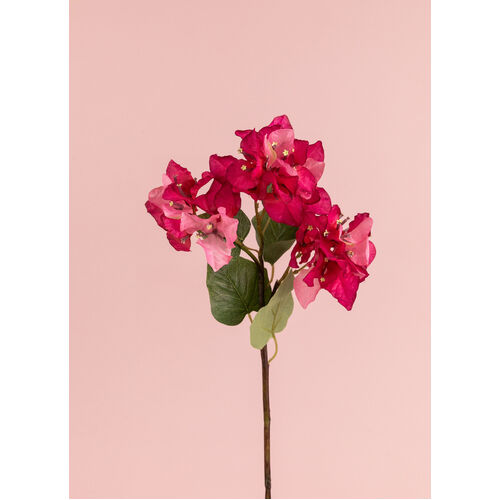 Pink bougainvillea   L16561PK