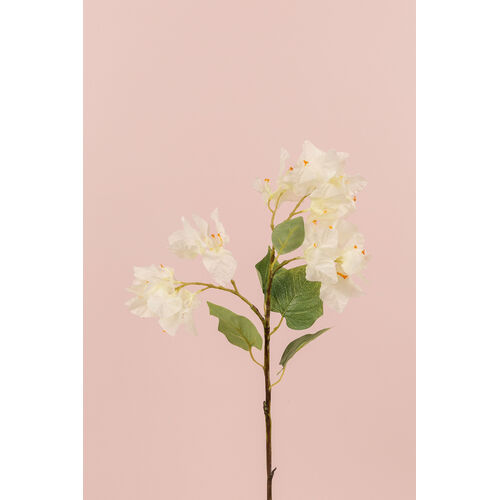 White bougainvillea   L16561WH