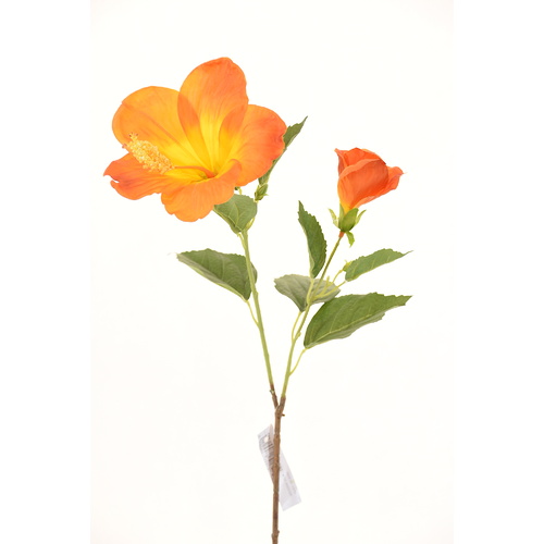 Orange Hibiscus   L18566OR