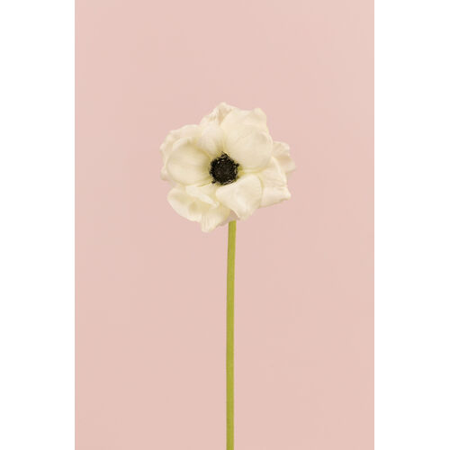White Anemone L19290WH