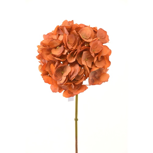Orange hydrangea  L21204OR