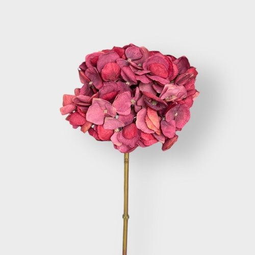 Red hydrangea  L21204RD