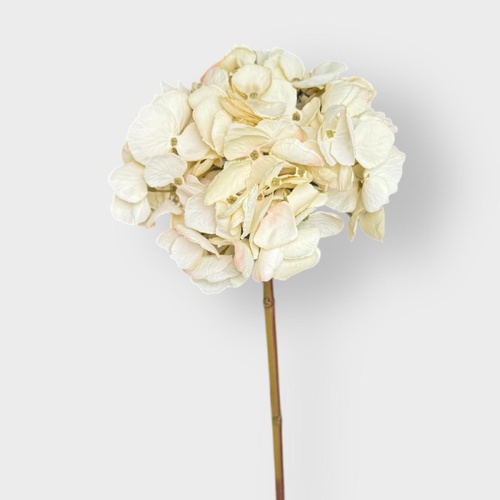 White Hydrangea  L21204WH