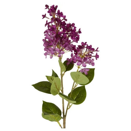 LILAC SPRAY L243LIL