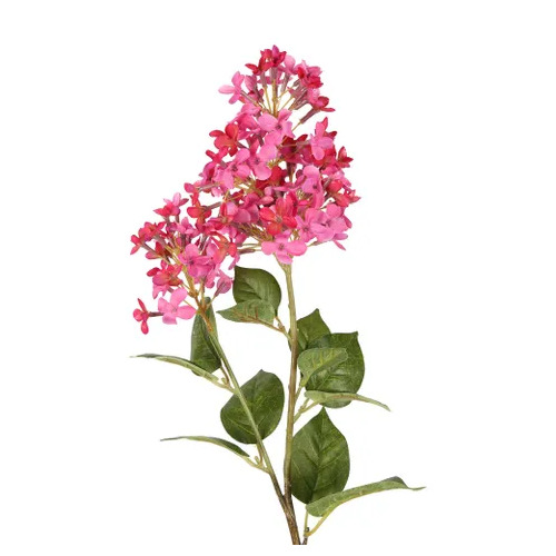 LILAC SPRAY L243P