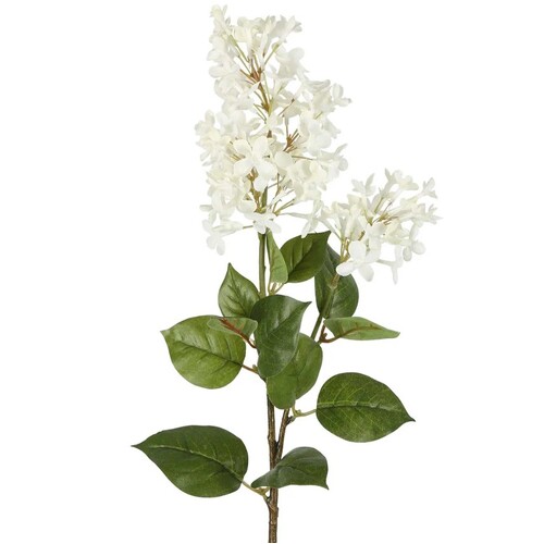 LILAC SPRAY L243WH