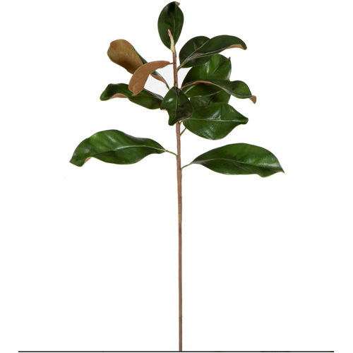 Magnolia Leaves Spray L405