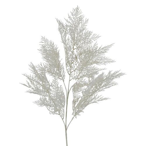 Ruscus Spray L40WH