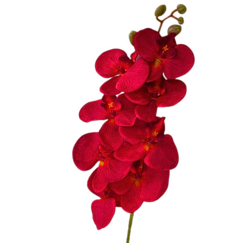 Silk Phalaenopsis Orchid LB0041-RED