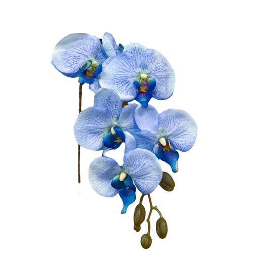 Silk Phalaenopsis Orchid LB0041-BLUE