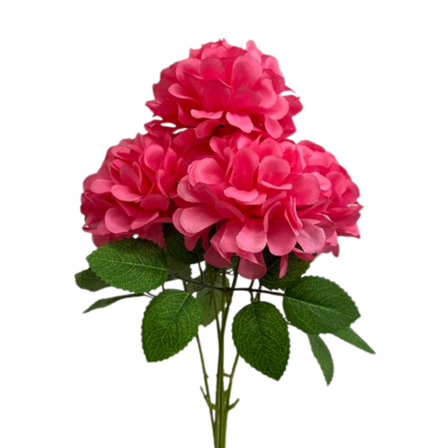 Chrysanthemum Ball Bunch LB0048-HPNK