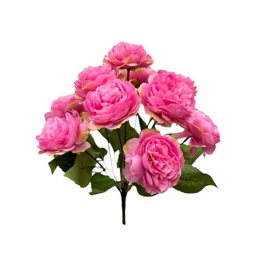 Ranunculus Bunch LB0079-BRPK