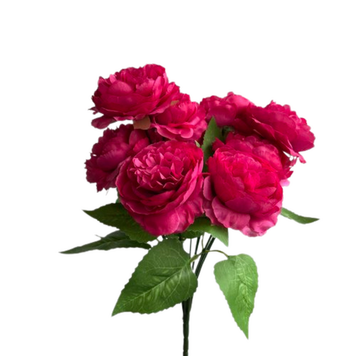 Ranunculus Bunch LB0079-HP