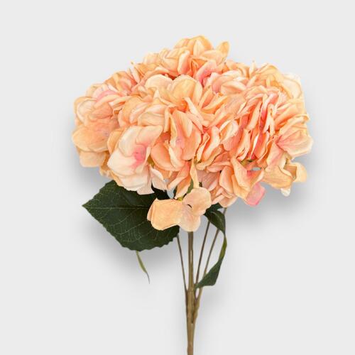 Hydrangea Bunch LB0081-LTAP
