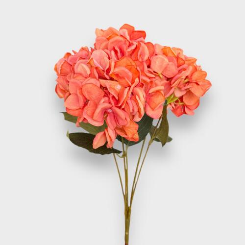 Hydrangea Bunch LB0081-OR