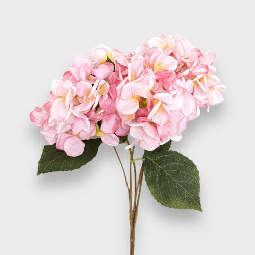 Hydrangea Bunch LB0081-PK