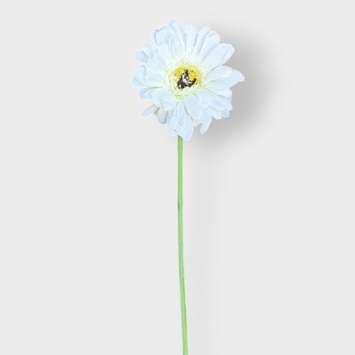 Gerbera single stem LB033-WHT