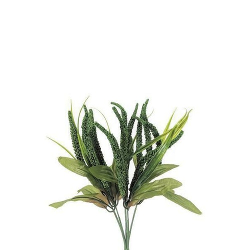 Mini Amaranthus bunch LB034-GR