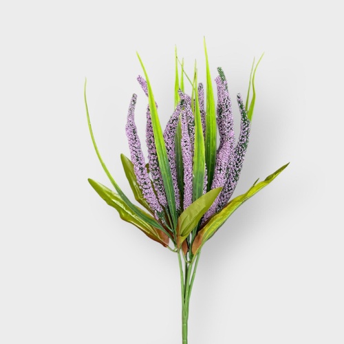 Mini Amaranthus bunch LB034-PUR