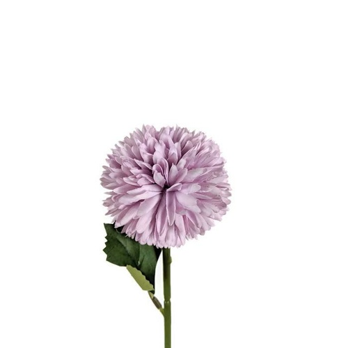 Mini Chrysanthemum LB043-LIL