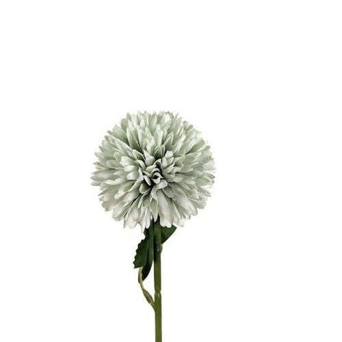 Mini Chrysanthemum LB043-MIN