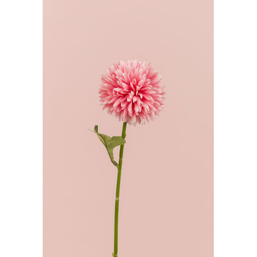 Mini Chrysanthemum LB043-PNK