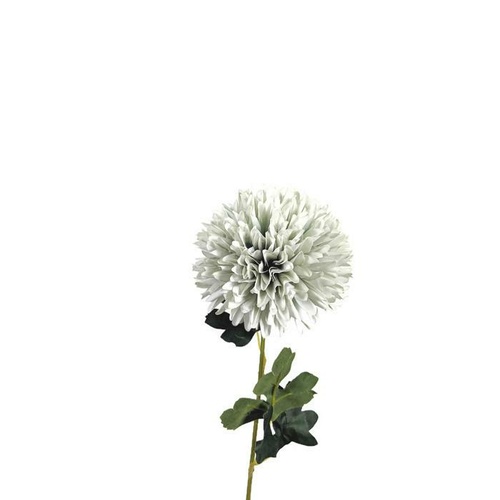 Chrysanthemum Tall LB058-MINT