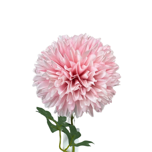 Chrysanthemum tall LB058-PNK