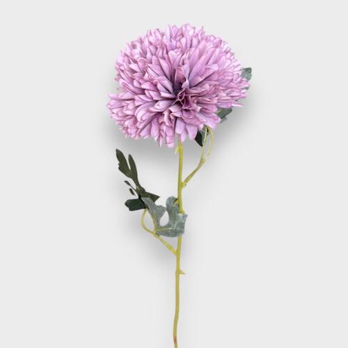 Chrysanthemum tall LB058-PUR