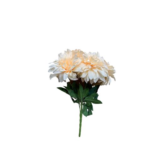 Dahlia Bunch LB066-CHAM