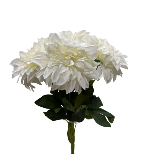 Dahlia Bunch LB066-WH