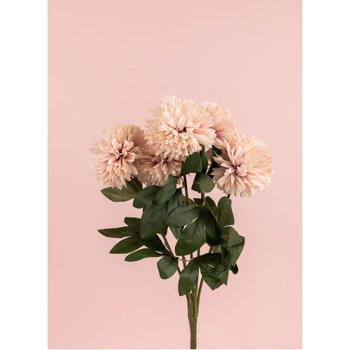 Chrysanthemum Bunch LB067-CHAM
