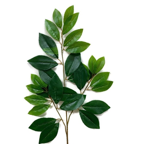Ficus Leaves LB070-GRN