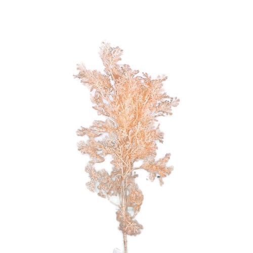 Fern Spray LB078-CHM