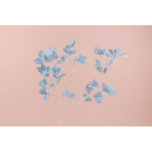 Leaf Spray LB079-BLU