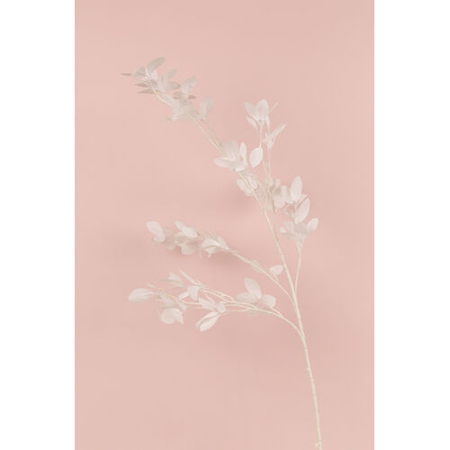 Leaf Spray LB079-WHT